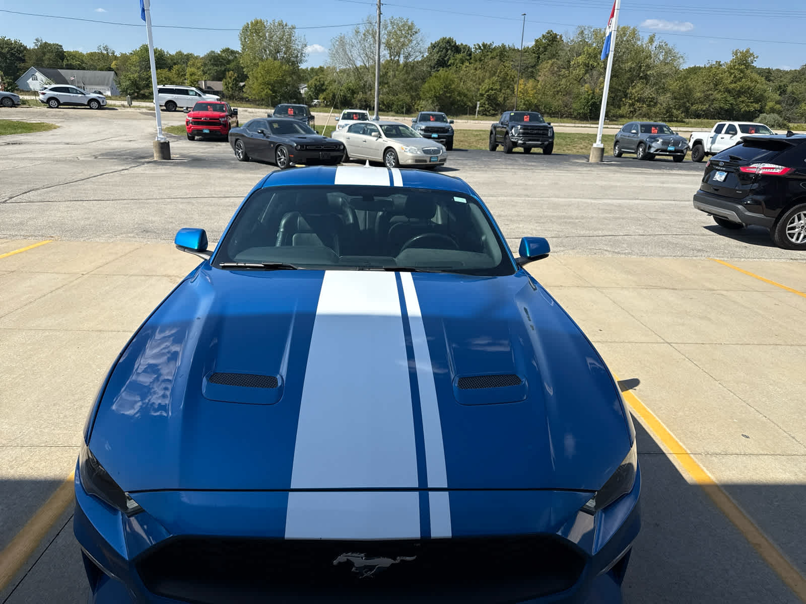 2020 Ford Mustang EcoBoost Premium photo 2