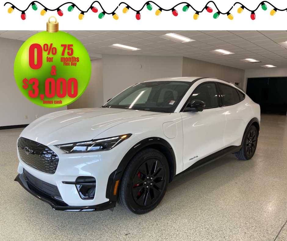 2025 Ford Mustang Mach-E Premium AWD's photo