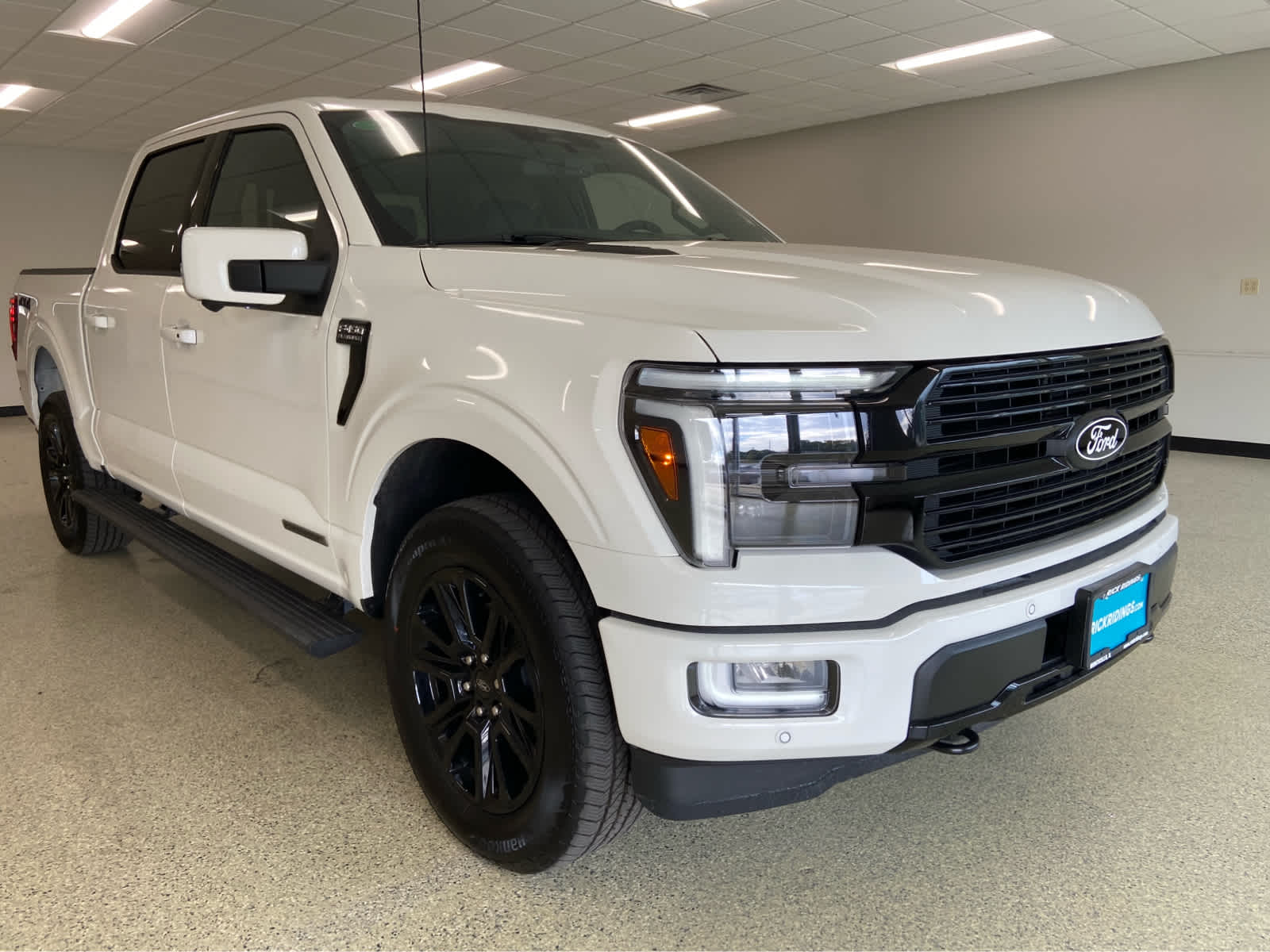 2025 Ford F-150 Platinum photo 3