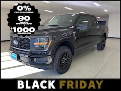 2025 Ford F-150 STX 4WD Supercrew 5.5 Box 4WD SuperCrew 5.5 Box