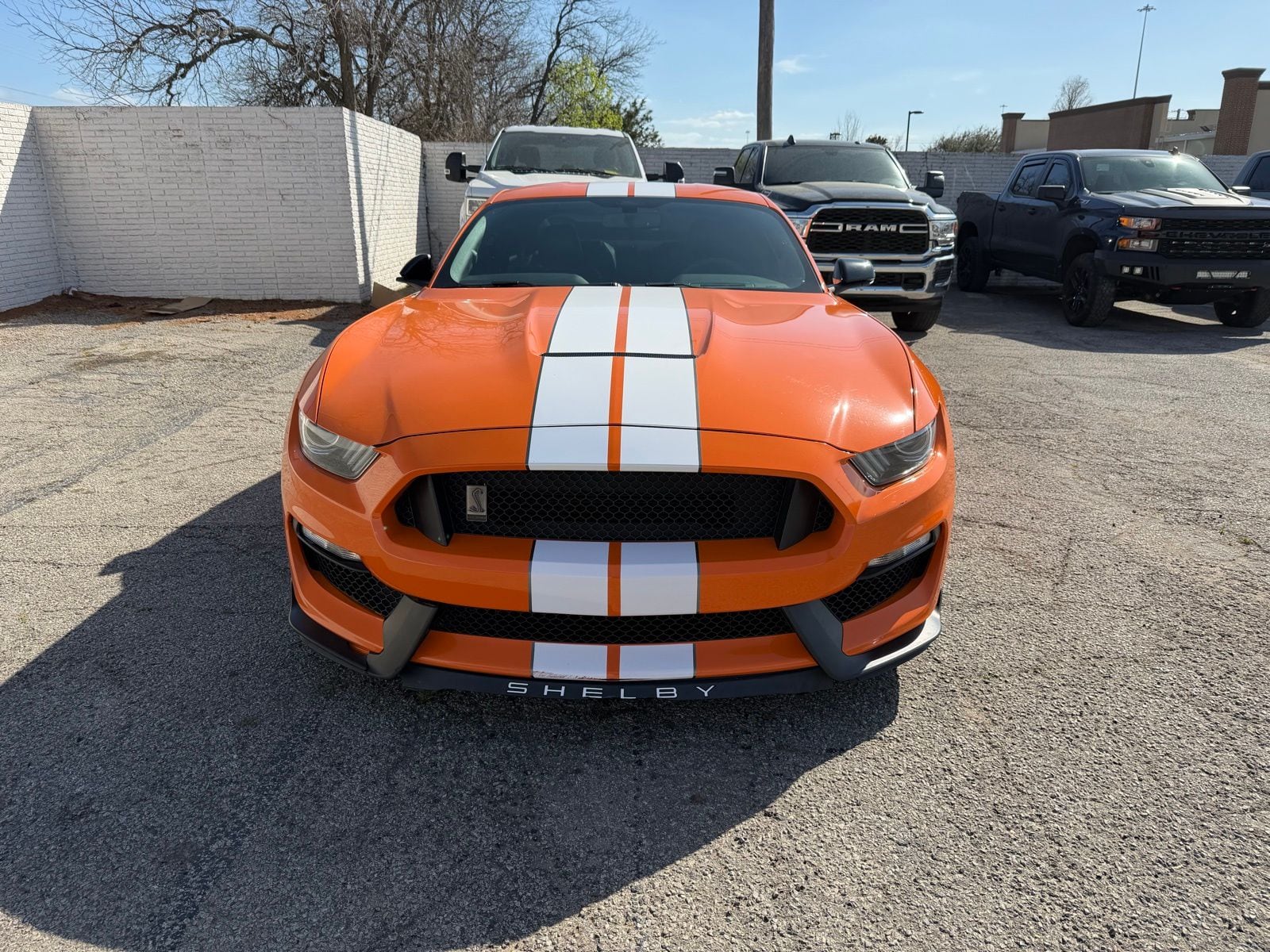 2020 Ford Mustang Shelby GT350 thumbnail 11