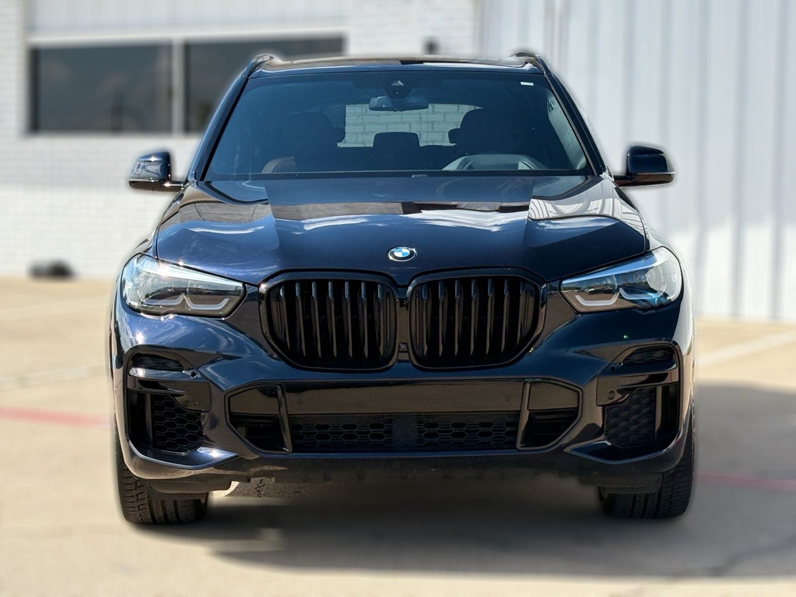 2023 BMW X5 thumbnail 5