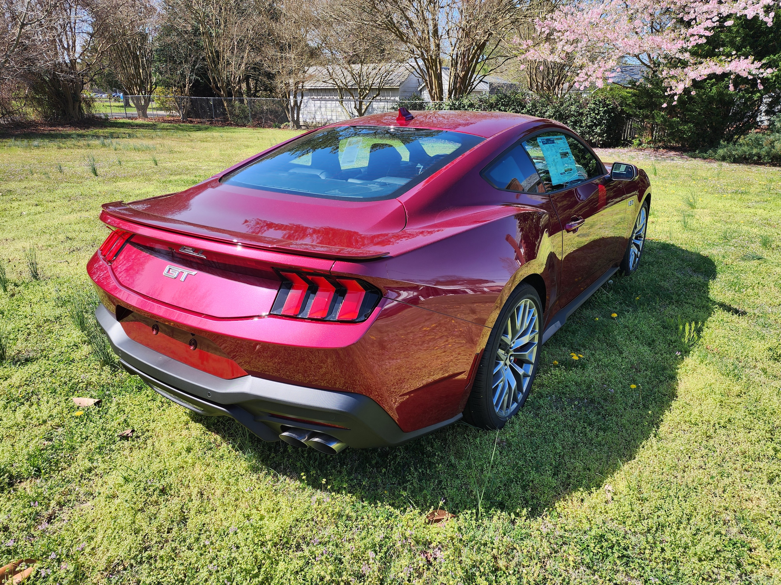 New 2025 Ford Mustang For Sale at Riggins Motor Co | VIN