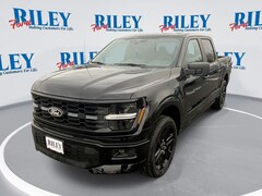 2025 Ford F-150 STX Truck