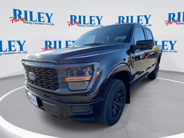 2025 Ford F-150 STX's photo