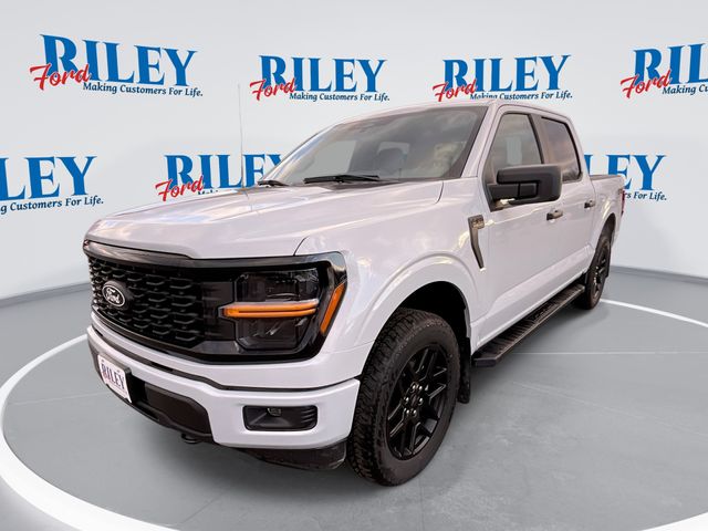 2025 Ford F-150 STX's photo