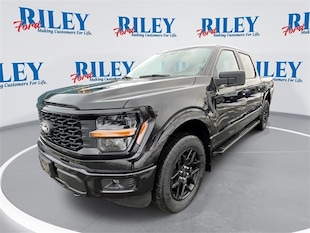 2025 Ford F-150 STX Truck