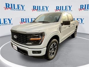 2025 Ford F-150 STX Truck