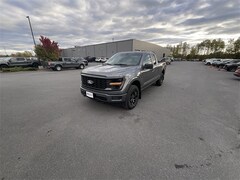 2025 Ford F-150 STX Truck