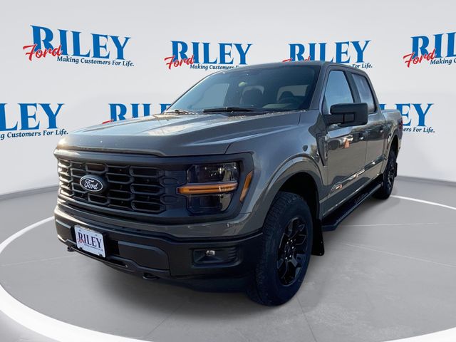 2025 Ford F-150 STX's photo
