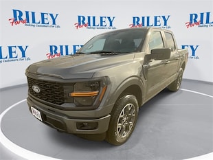 2025 Ford F-150 STX Truck