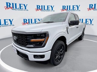 2025 Ford F-150 STX Truck