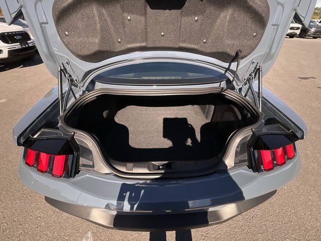 2025 Ford Mustang GT Premium Fastback - Photo 21