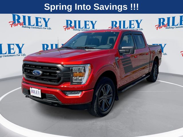 2023 Ford F-150 XLT 4x4 SuperCrew 5-1/2 Box's photo