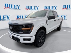 2025 Ford F-150 STX Truck