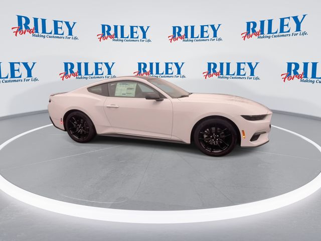 2026 Ford Mustang EcoBoost Premium photo 2