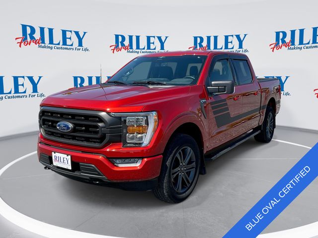 2023 Ford F-150 XLT 4x4 SuperCrew 5-1/2 Box's photo