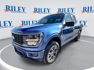 2025 Ford F-150 STX Truck