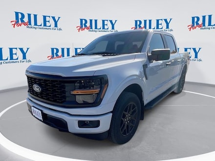 2025 Ford F-150 STX Truck