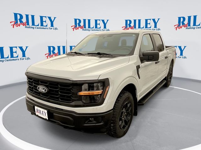 2024 Ford F-150 STX's photo