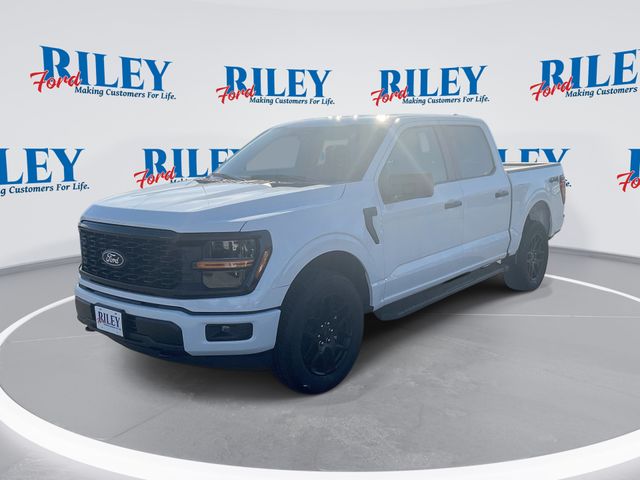 2025 Ford F-150 STX's photo