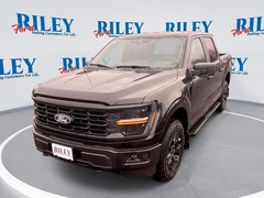 2025 Ford F-150 STX Truck