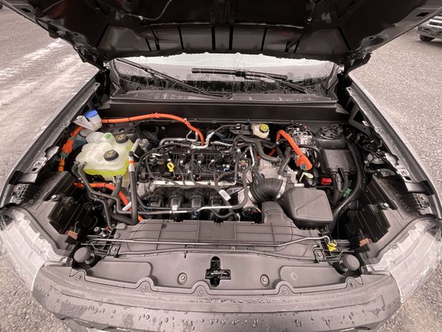 View 24
