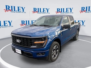2025 Ford F-150 STX Truck