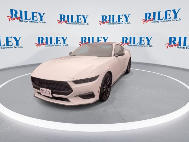 2026 Ford Mustang EcoBoost Premium photo 4