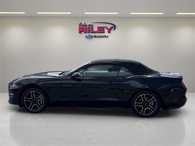2023 Ford Mustang EcoBoost Premium photo 3