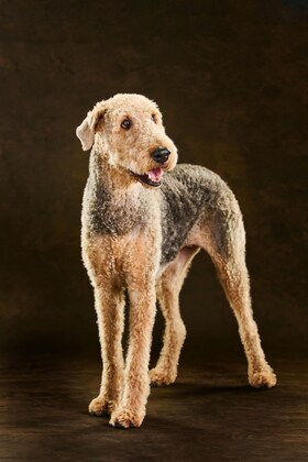 Staff member Summer Riley from ffef1691d58d