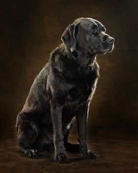 Staff member King Riley from ffef1691d58d