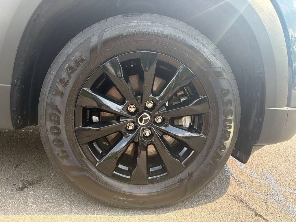 Photo 24