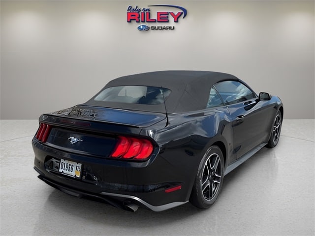 Used 2023 Ford Mustang EcoBoost Premium with VIN 1FATP8UH8P5103287 for sale in Dubuque, IA