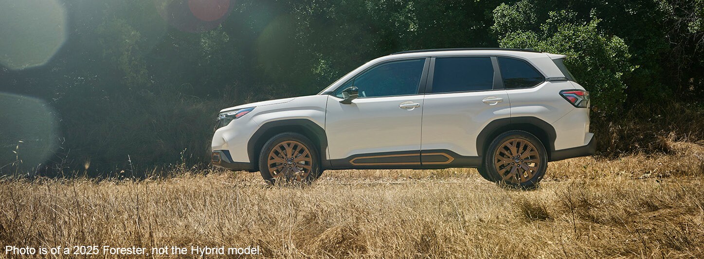 Forester.jpg