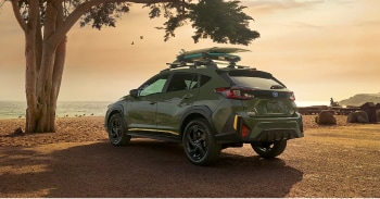 2025 Ascent
