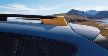 2025 Ascent