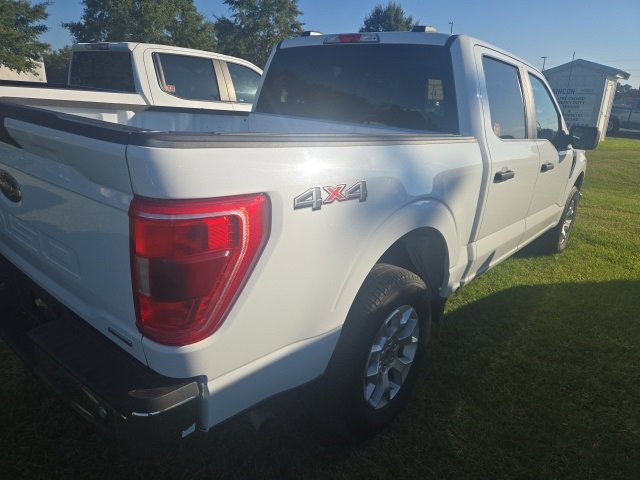 2023 Ford F-150 XL photo 4
