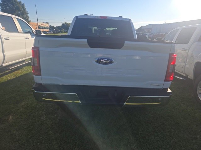 2023 Ford F-150 XL photo 3