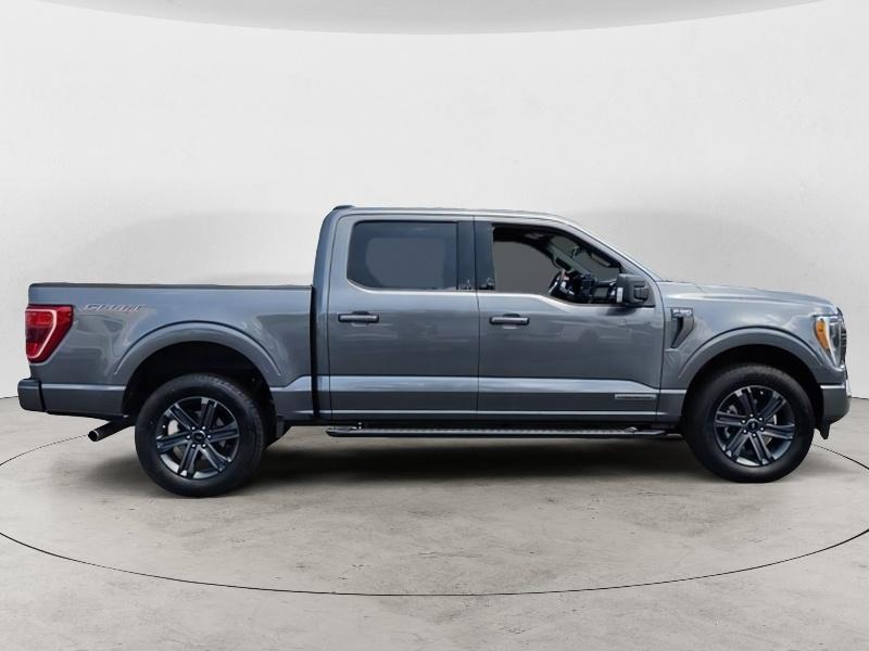 Used 2023 Ford F-150 XLT with VIN 1FTFW1ED1PFD08098 for sale in Little Rock