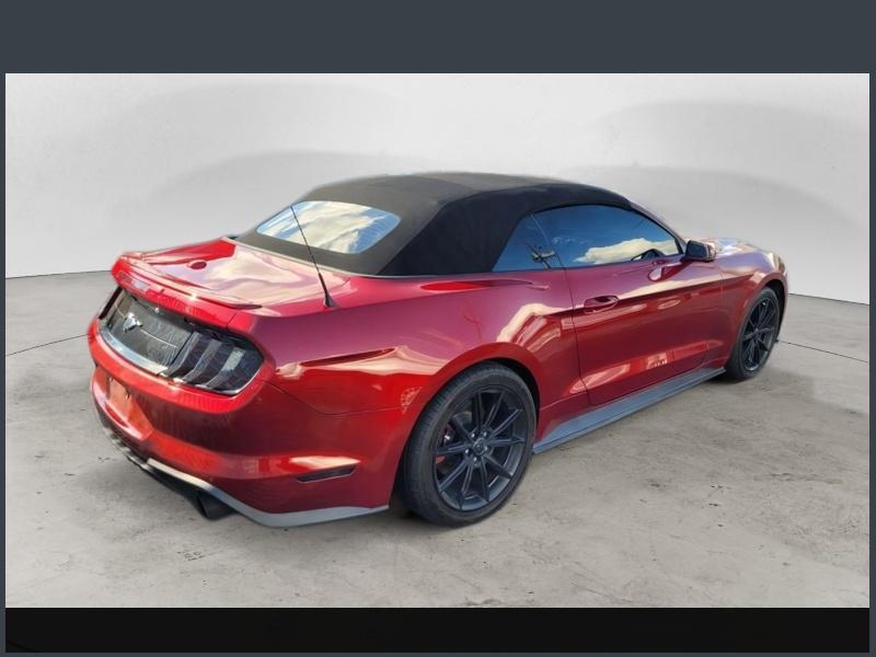 2019 Ford Mustang EcoBoost Premium Convertible photo 2