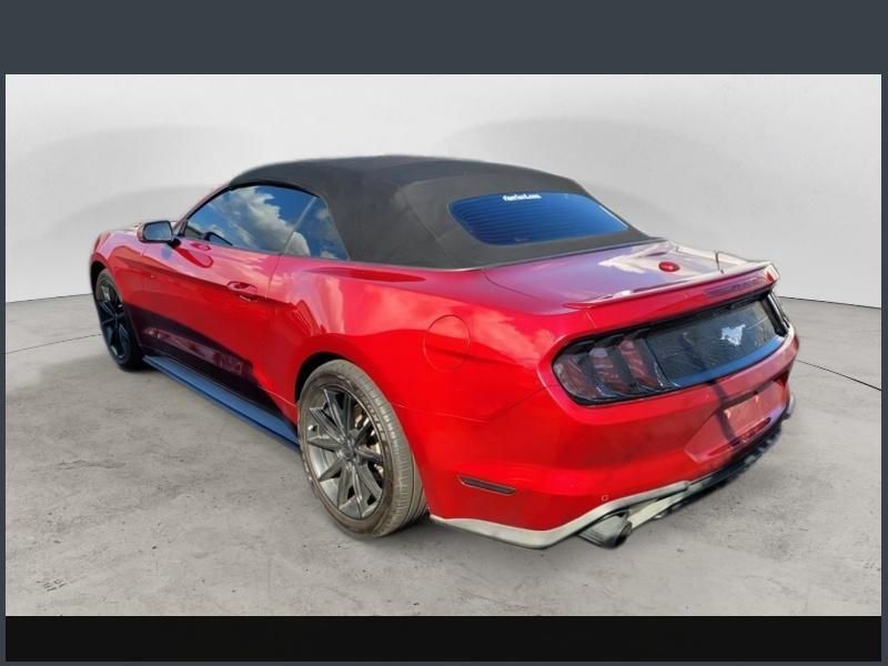 2019 Ford Mustang EcoBoost Premium Convertible photo 3