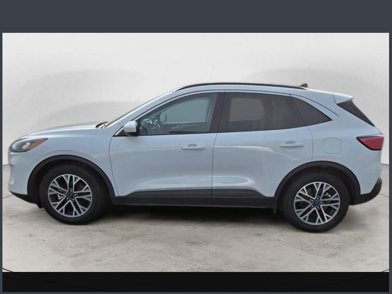 2020 Ford Escape SEL photo 4