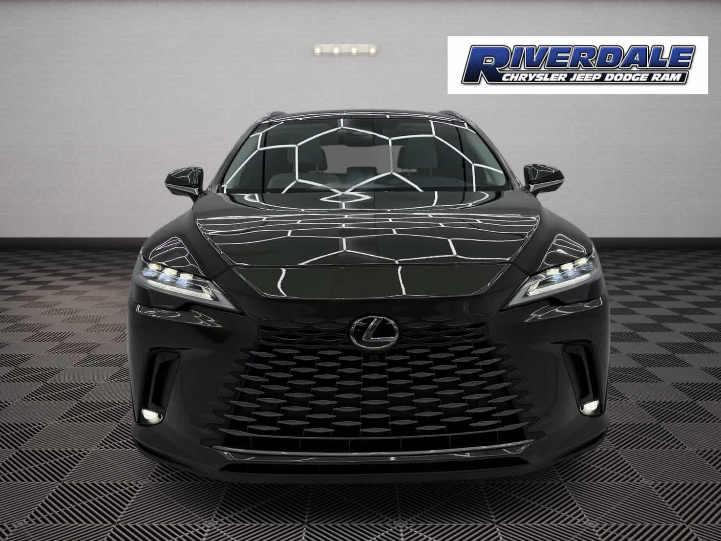 2025 Lexus RX Luxury AWD photo 2