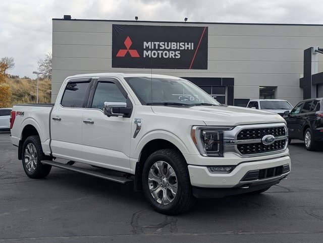2021 Ford F-150 Platinum's photo
