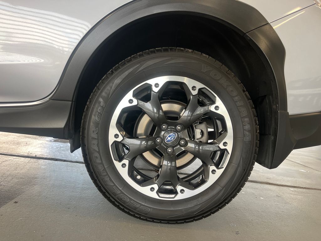 View 5