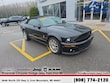  Ford Shelby GT500