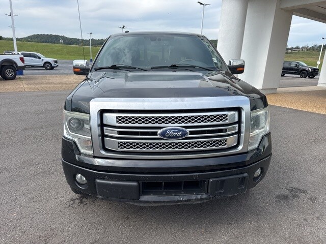 2014 Ford F-150 Platinum photo 3