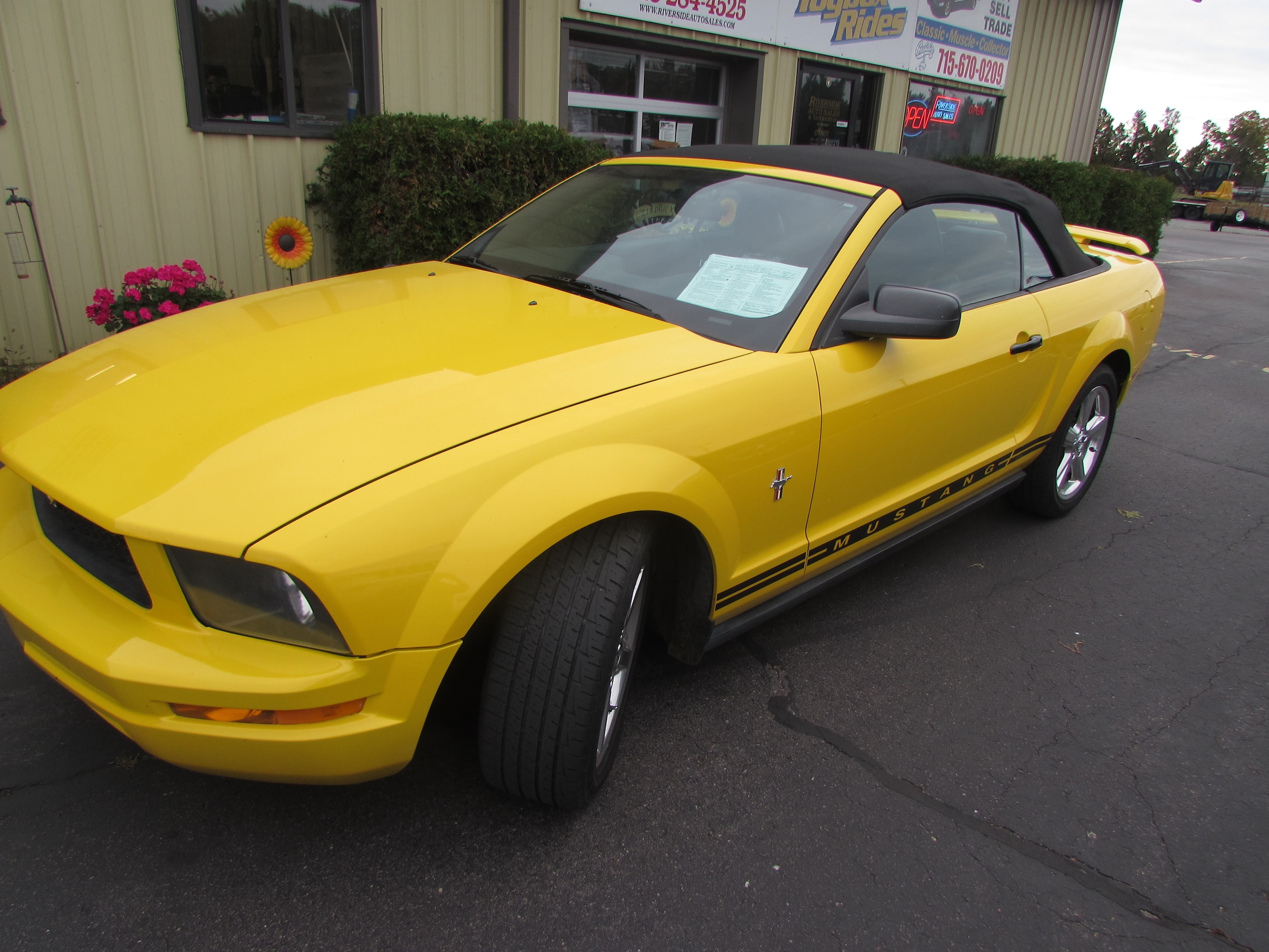2005 Ford Mustang Premium