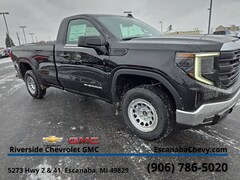 2025 GMC Sierra 1500 Pro Truck